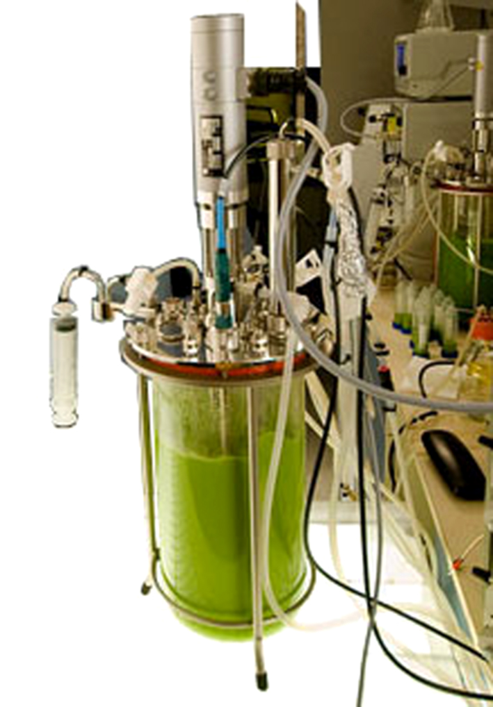 Solazyme bioreaktor